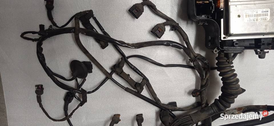 Wiązka silnika Audi A4 B5 Lift 170 18 turbo AWM Starachowice