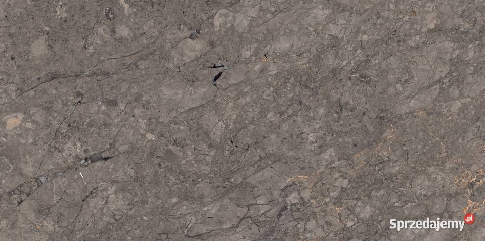 Gres Rock William Grey Carving 80 x 160 mazowieckie Warszawa