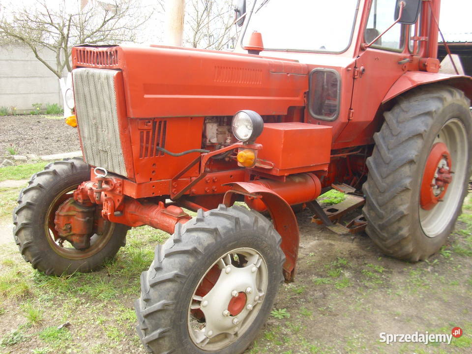 Ciągnik MTZ 82 Żary