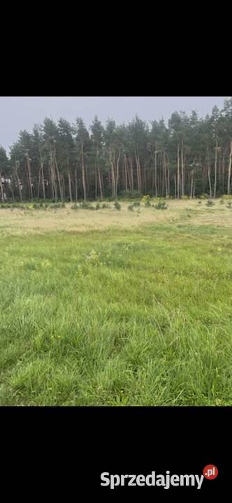 Działka budowlana 24m48 m 1208m2 sprzedam