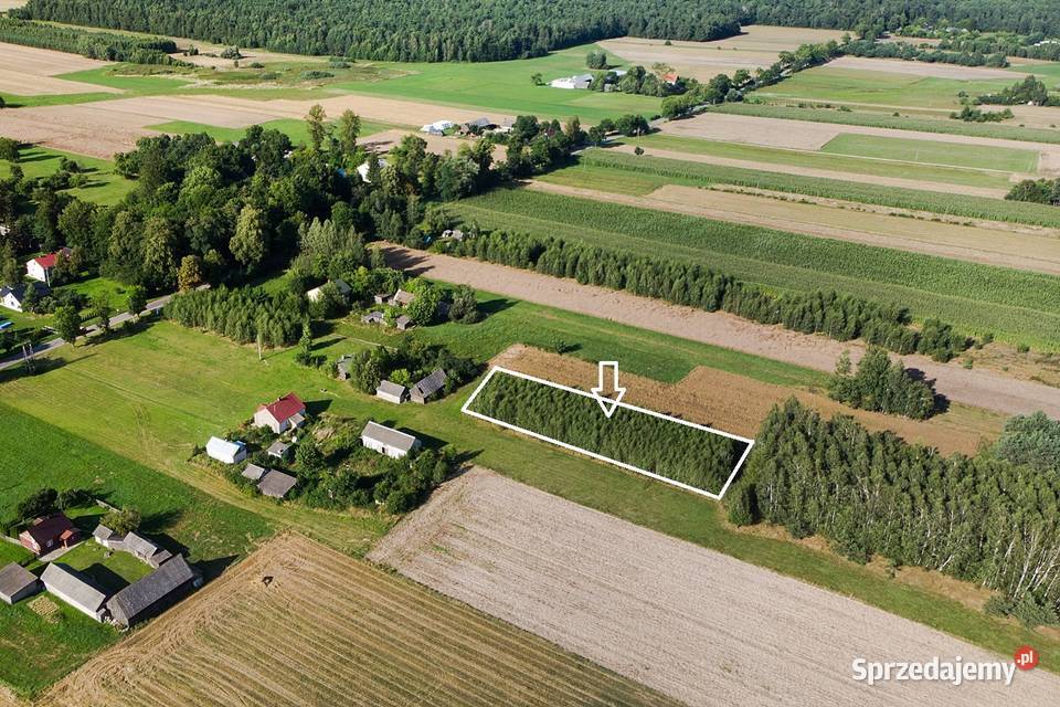 Działka budowlana 1700m Dębe Kosów Lacki Sprzedaż