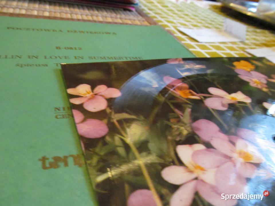 Tina Carles i La Bionda 2 pocztówek dziwiękowych płyta winylowa Lublin