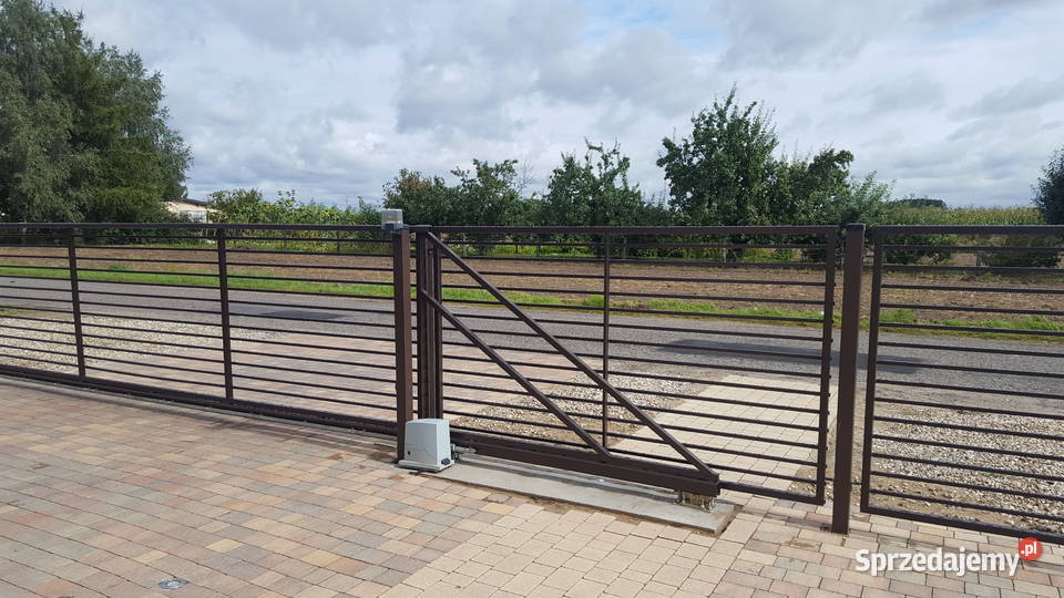 Brama skrzydłowa 500x120 GOLD 28 bramy przęsła Ogrodzenia i bramy Konin