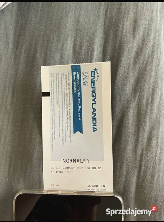 Bilet normalny do energylandii Dzięgielów