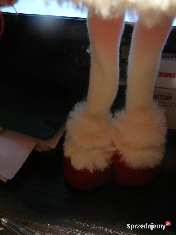 Aniołek Nowy 35 Belgia Wrocław