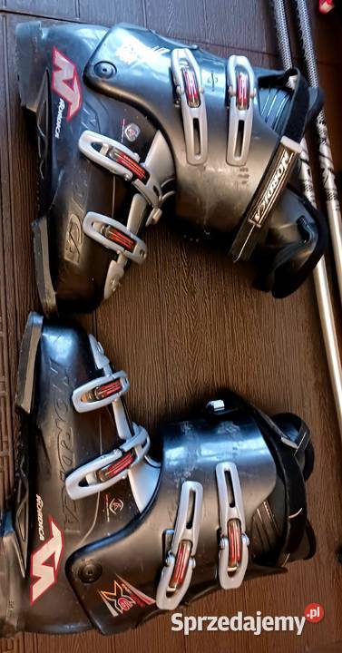 Narty Fischer 160 Buty Nordica zestaw Borów