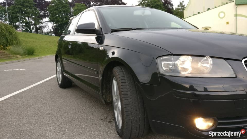 Audi A3 8P 19 TDI 105 bogate wyposażenie niski Audi Łańcut