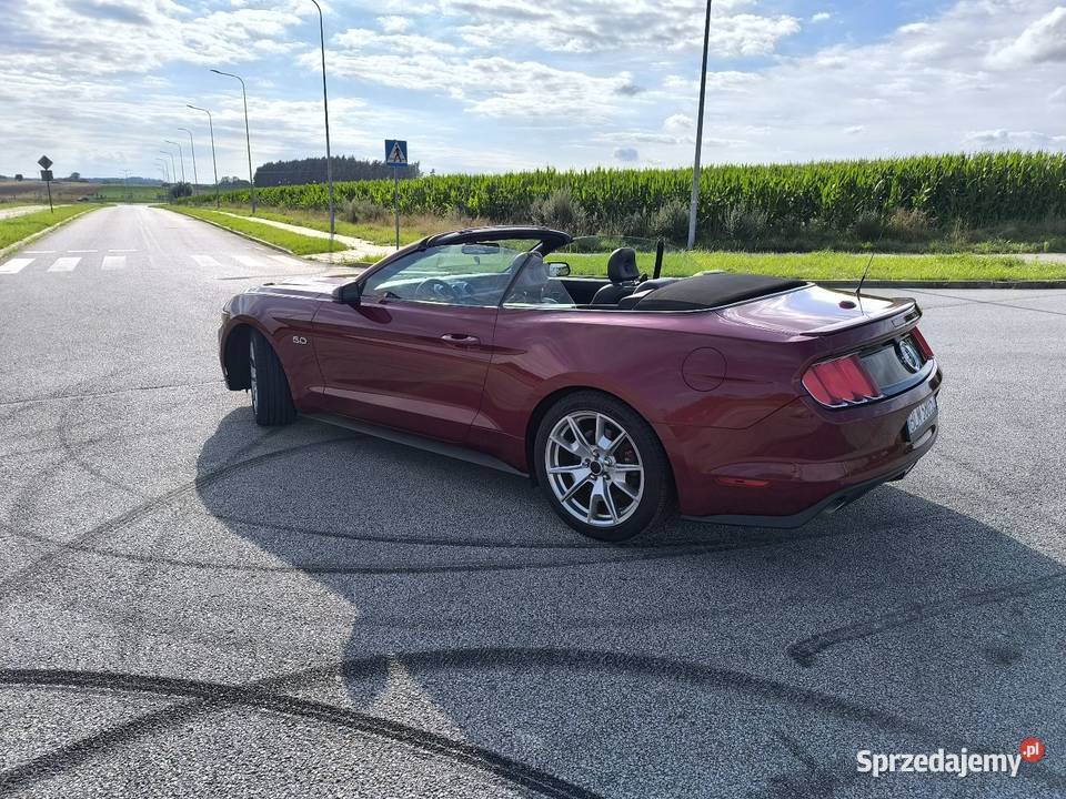 Ford Mustang GT cabrio 50 lecie 2015 ESP Mustang Łomża