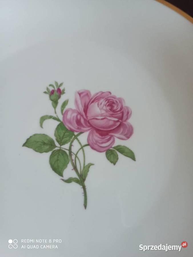 Patera z bordową różą
Na białej porcelanieSyg Gdańsk