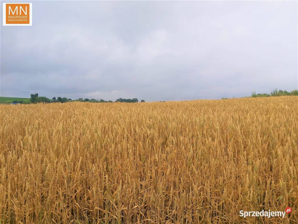 Grunt 1257m2 Kraków Wróżenicka sprzedam