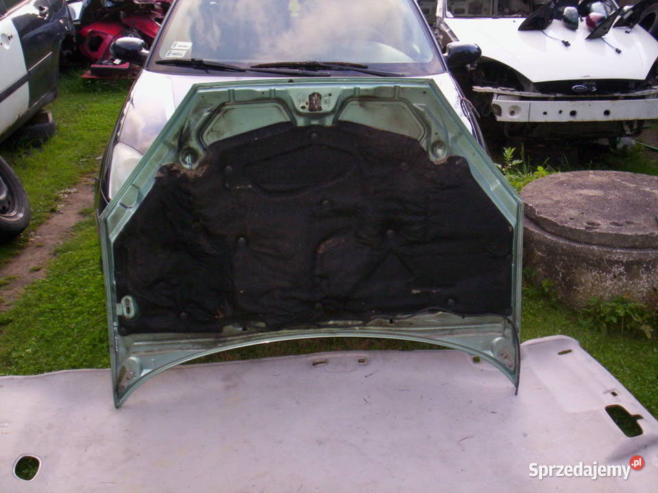 FORD FOCUS MK1 Maska Przód Pokrywa Silnika Mokrzesz
