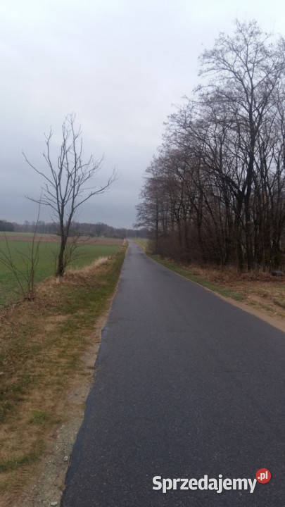 Sprzedam działki Kakawa Stara 1000m2 Stara Kakawa