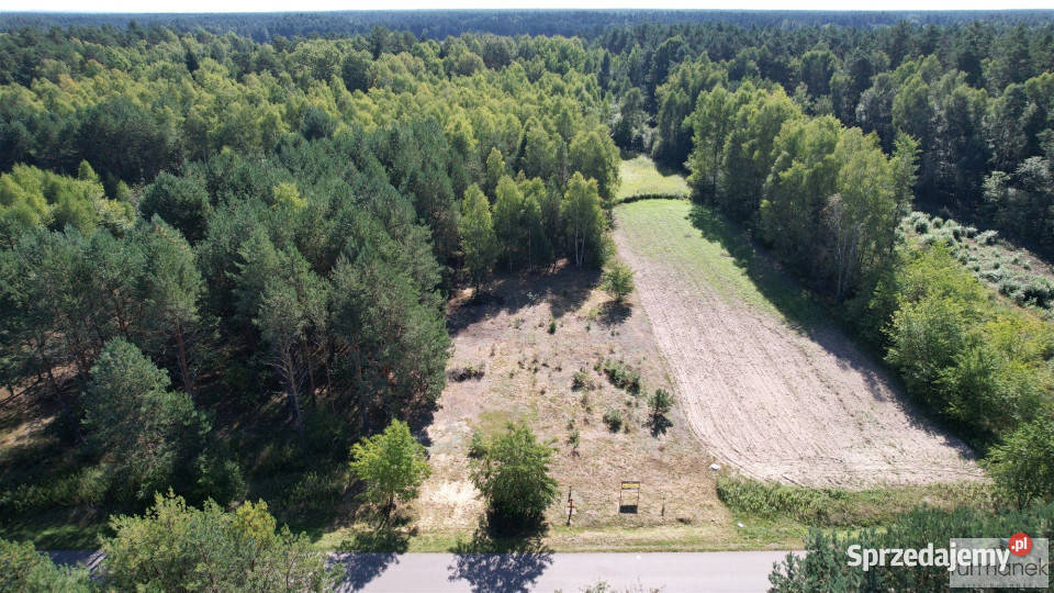 Grunt Andrzejówka 4100m2 budowlana