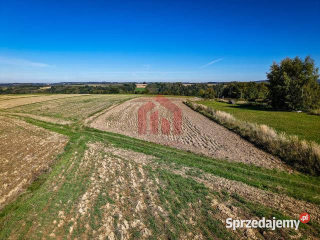 Ogłoszenie działka 950m2 Wielopole Skrzyńskie