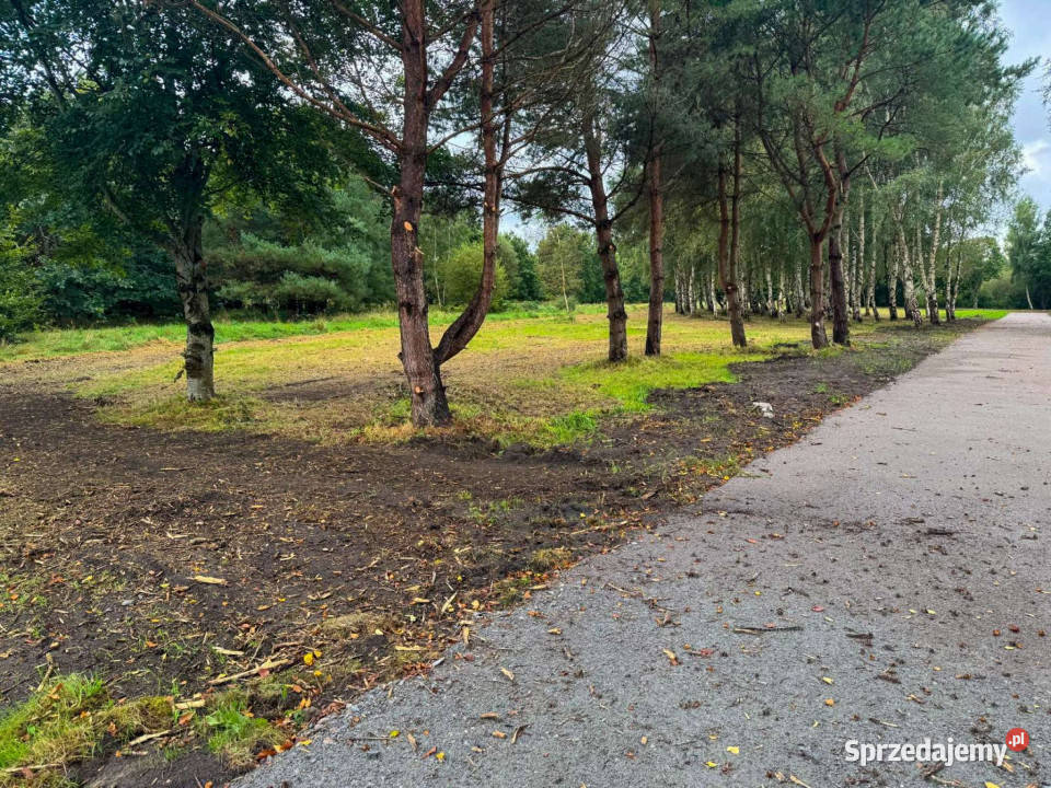 Działka budowlana z laskiem Darłowo