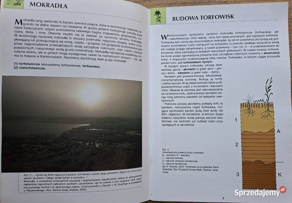 Torfowiska Karkonoszy Natura 2000 w Karkonoskim ISBN 9788392829515 Kraków