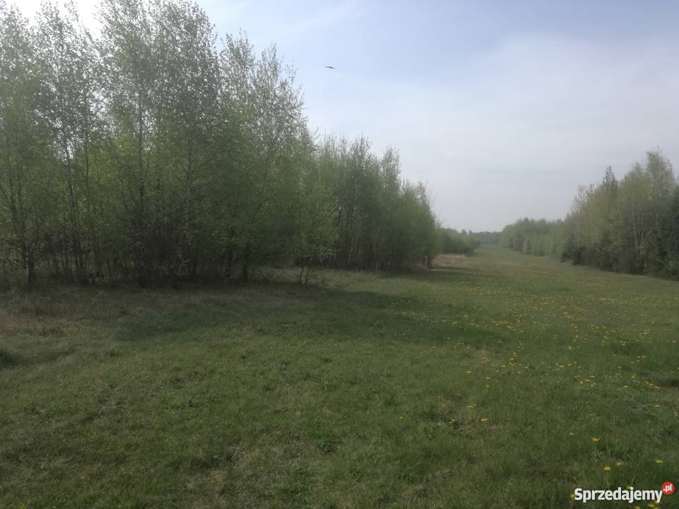 Sprzeda działkę budowlaną w Cygance z WZ Grunty i działki