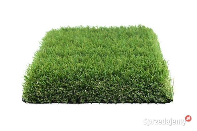 Sztuczna Trawa Poznań