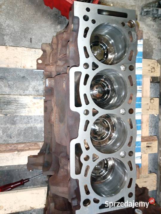 Silnik jumperboxer 22 bluehdi Konin