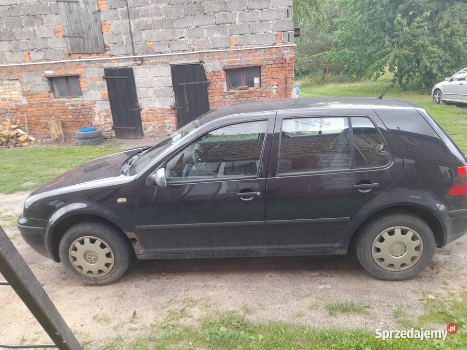 Sprzedam golfa 4 Golf Wudzyn