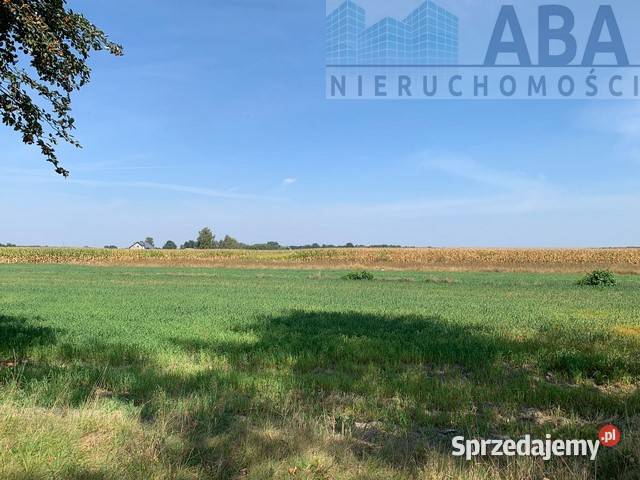 Złotkowy gm Rychwał 3 działki budowlane na Sprzedaż