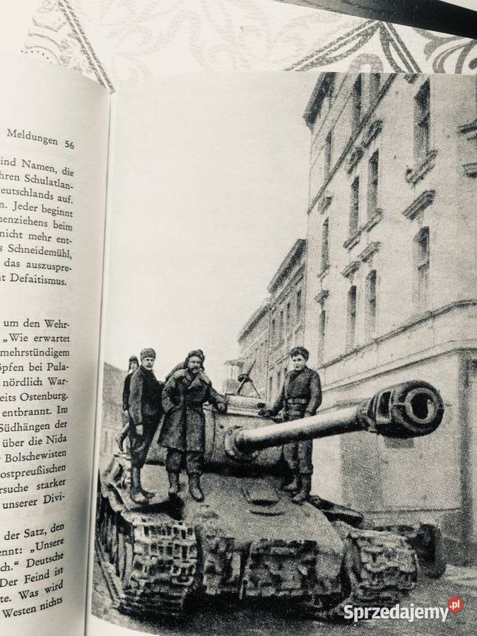 3780 Pomorska Pasja Szczecin