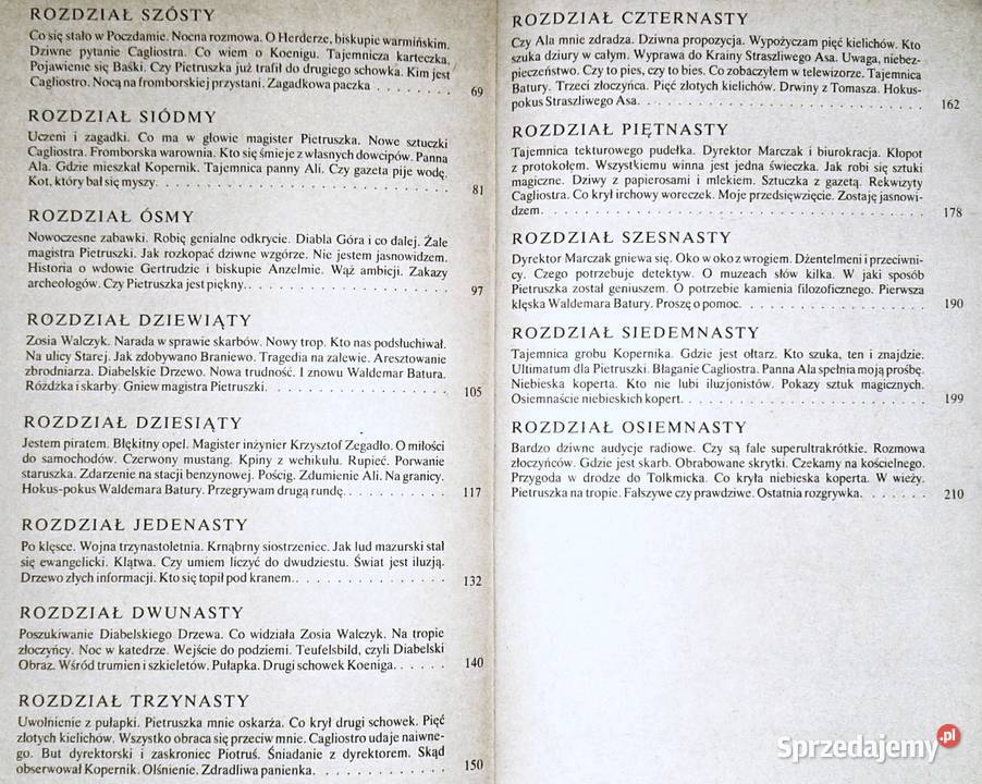 Pan Samochodzik i zagadki Fromborka Zbigniew miękka Pozostałe Chełm