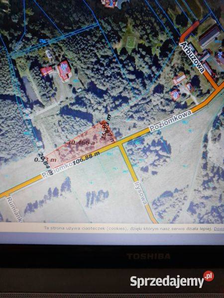 Bieganów Poziomkowa 100m mazowieckie