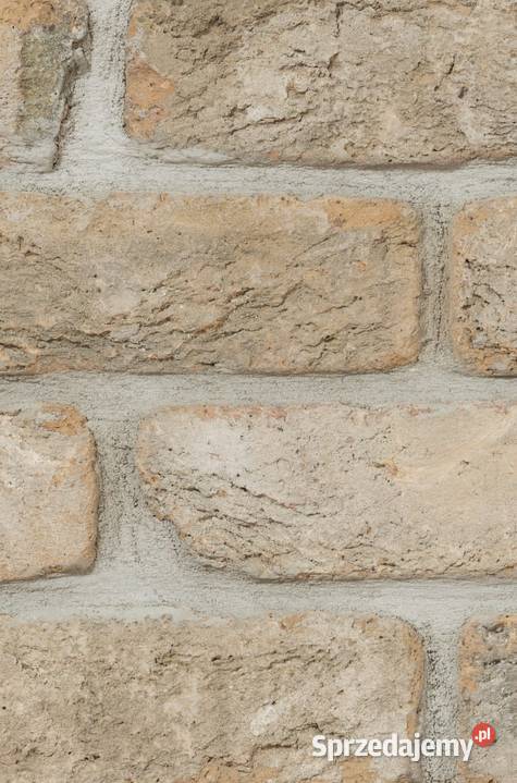 Płytki klinkierowe Toscane Antiek Płytki elewacyjne Warszawa
