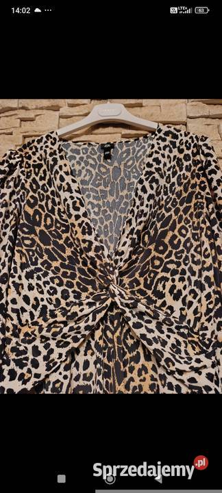 Sprzedam sukienkę podlaskie Zambrów