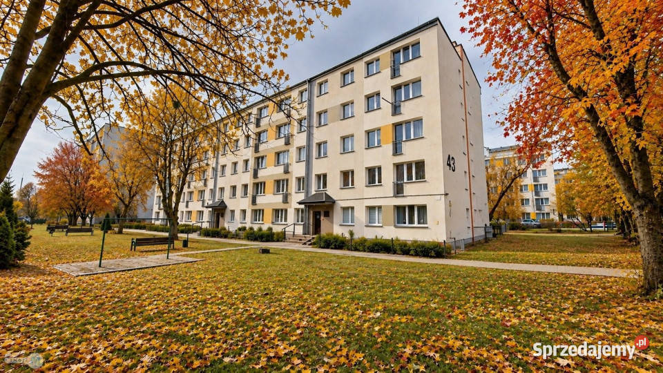 Mieszkanie Kielce 4554m2