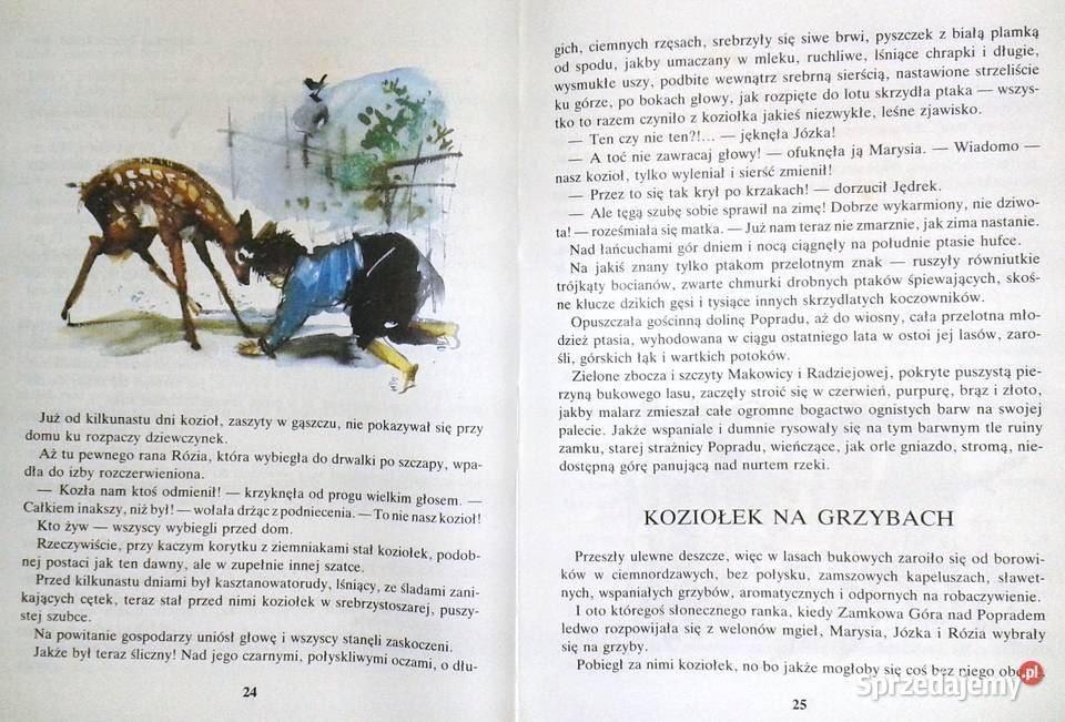 Rogaś z Doliny Roztoki Maria Kownacka Chełm