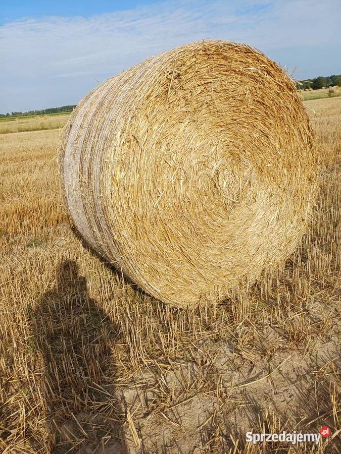 Słoma lubelskie Wytyczno sprzedam