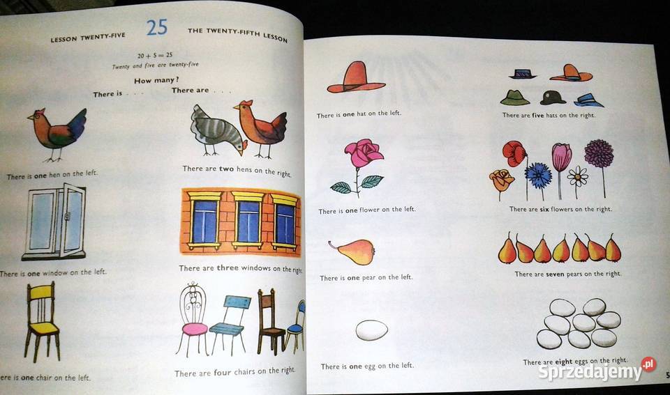 I learn English Język angielski dzieci starszych Rok wydania 1995 Chełm