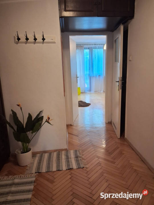 mieszkanie w centrum Kraków