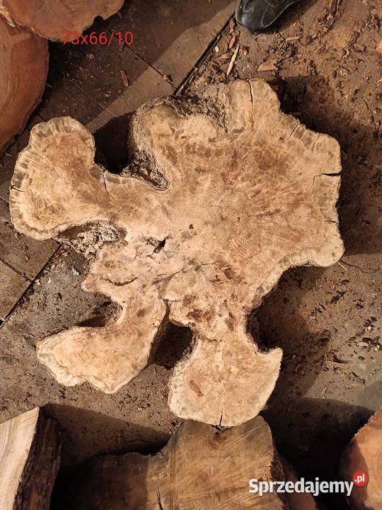 Oliwkadeskiplastry pieńki podkarpackie Mielec sprzedam