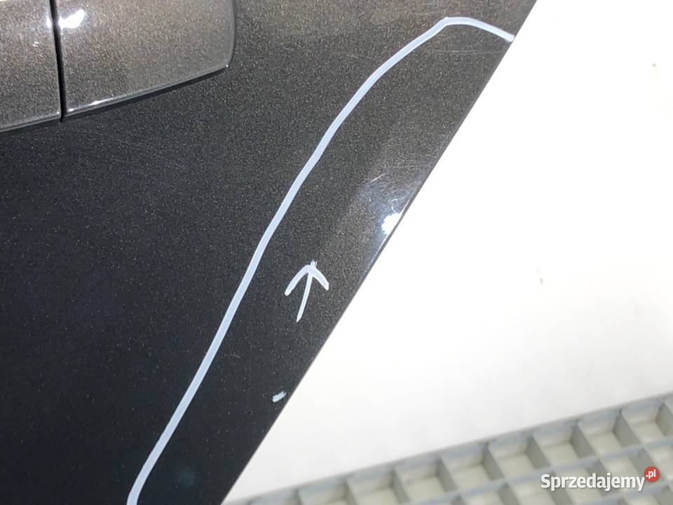 DRZWI LEWY TYŁ OPEL INSIGNIA A Hatchback 0817 podkarpackie