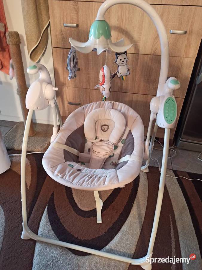 bujaczek Lionelo Robin Warszawa