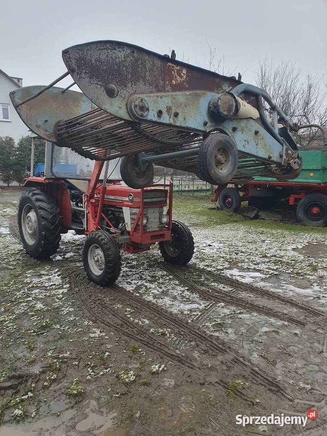 Sprzedam ciągnik MF 158 z Turem Massey Ferguson Mielec