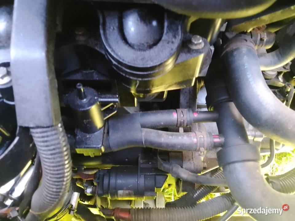 Silnik Opel Movano 25 dci G9U Silniki kompletne Silniki kompletne Sandomierz