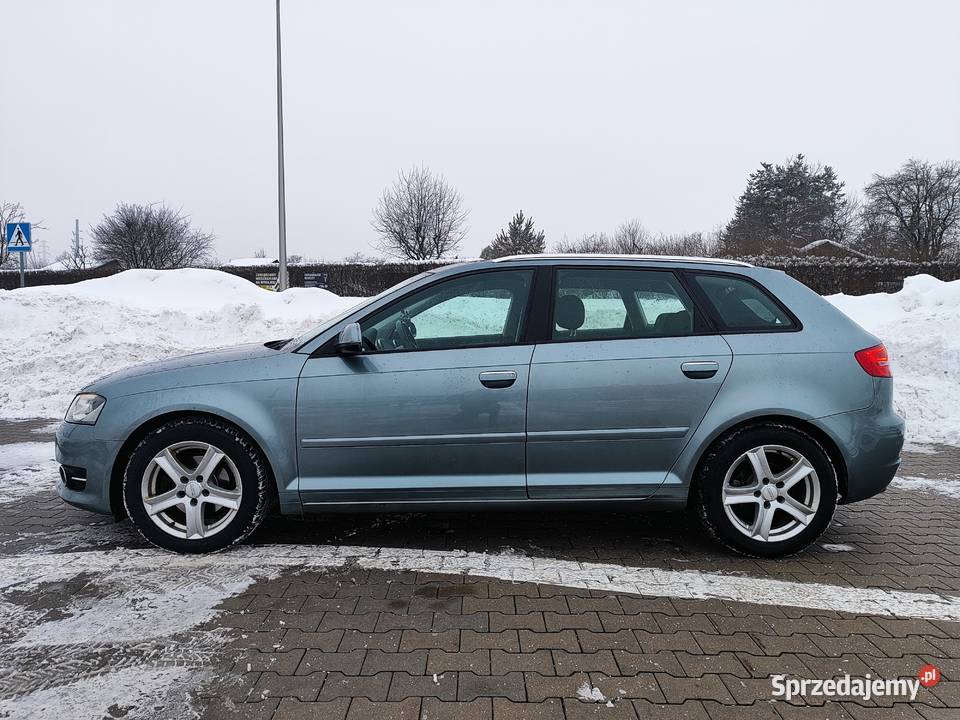 Audi A3 8P 2012 16TDI LedXen Panorama Hak manualna