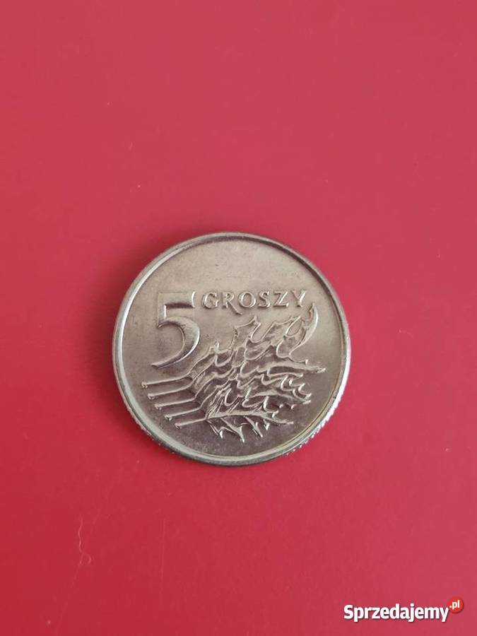 5 groszy 1993r W kapslu ochronnym Numizmatyka