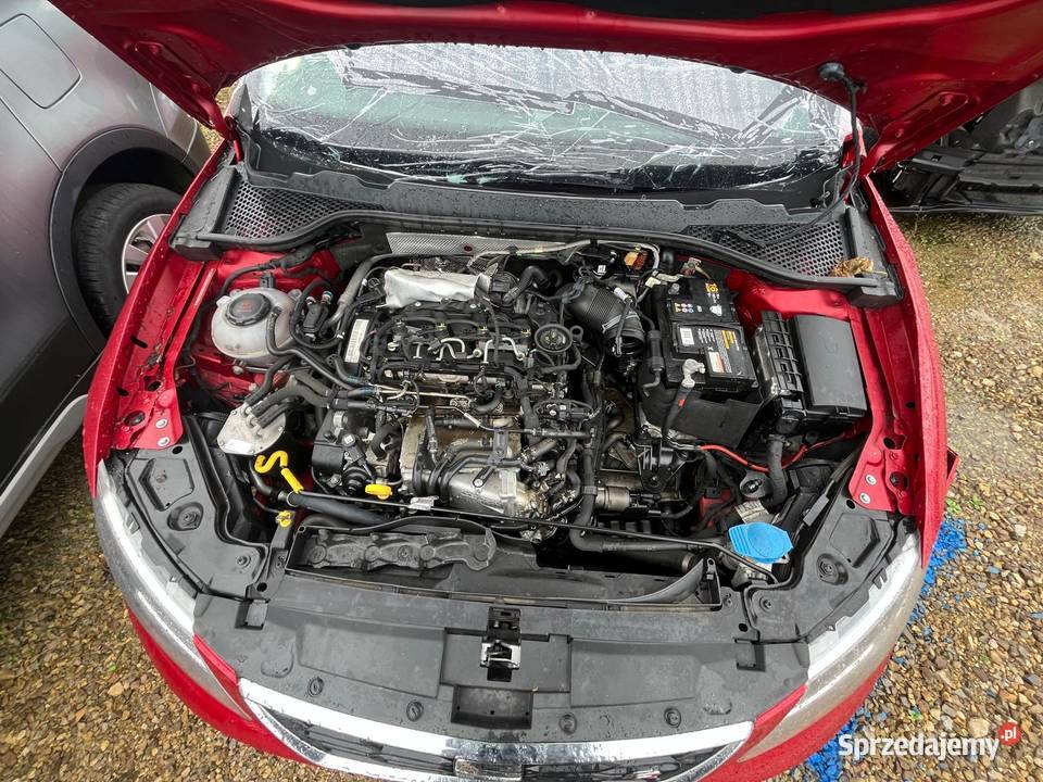 SEAT Lon III 20 TDi 150 FR DSG7 FJ712 Łódź