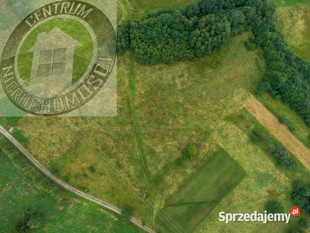 Ogłoszenie działka 1000m2 Kamienica Sprzedaż