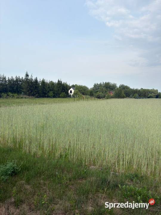 Działka budowlana WZ mKownay gmPłońsk szybki 1761m2 Warszawa