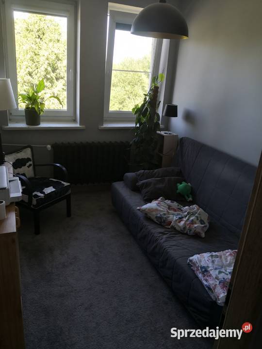 Syndyk sprzeda udział 12 w prawie własności 322m2 Mokrzeszów