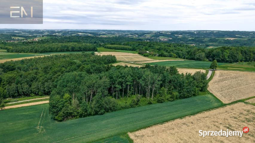 sprzedaży gruntu 4600m2 Szufnarowa