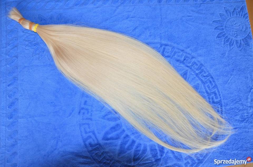 Włosy słowiańskie i dziewicze 114 g 65 Wrocław sprzedam