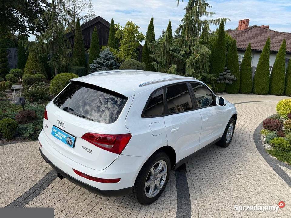 Audi Q5 20 TDI Quattro Stronic 170 2010r Możliwa Q5 Krotoszyn