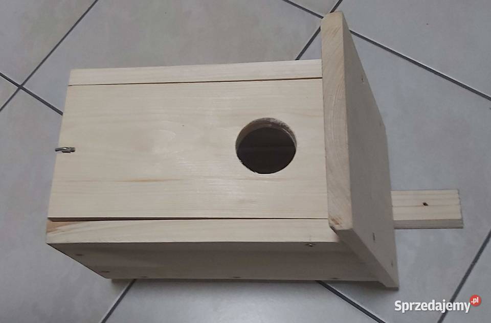 budka lęgowa szpak Rybnik